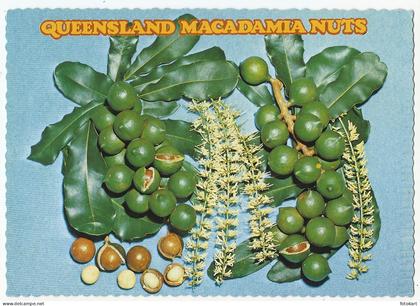 Macadamia Nuts QLD Australia, Vintage PC, CSR Orchards-Sunshine Plantation