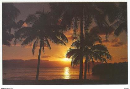 Palms against Tropical Sunset, Vintage PC, QLD Australia