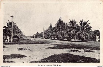 A866 Australia Palm Avenue Mildura vintage postcard