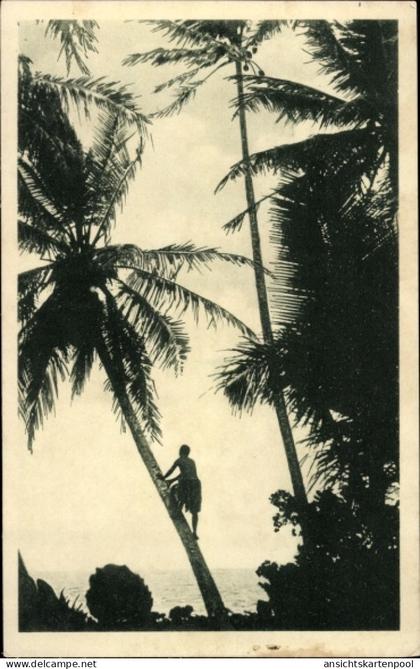 CPA Carolines Karolinen Mikronesien Ozeanien, Mann klettert auf Palme