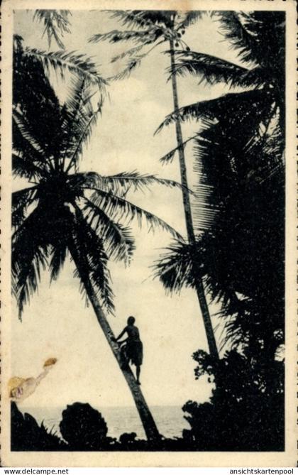 CPA Carolines Karolinen Mikronesien Ozeanien, Mann klettert auf Palme