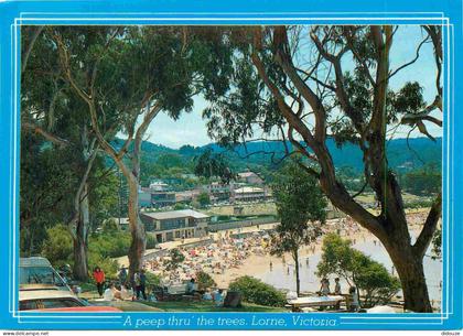 Carte Postale - Australie - Lorne - A peep thru' the trees - CPM - Voir Scans Recto-Verso