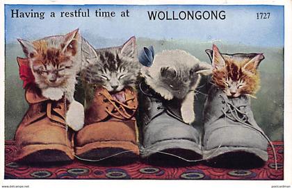 Australia - WOLLONGONG (NSW) Sachet postcard - KITTENS - Publ. Valentine's Mail Noverlty Postcard
