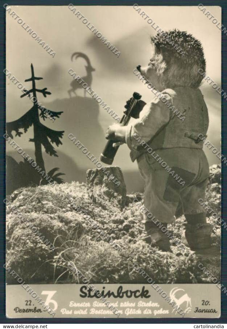 Austria Korneuburg Steinbock STRAPPO foto FG cartolina BB7871