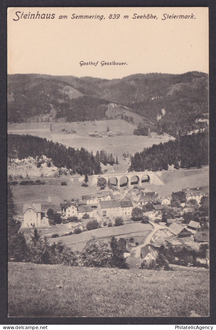 Austria postcard 1910 Steinhaus am Semmering viaduct 1910 Gesslbauer