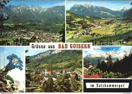 Bad Goisern Salzkammergut