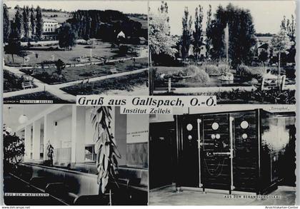 10038358 - Gallspach