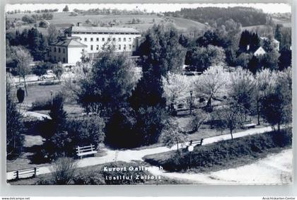 51069477 - Gallspach