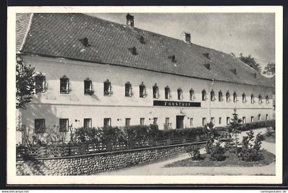 AK Sierning /O.-Ö., Gasthof Forsthof F. u. A. Baumschläger, Vorderansicht mit Anlage