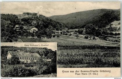 3580 Grünberg - Gasthaus Hans Hofbauer - 51833917