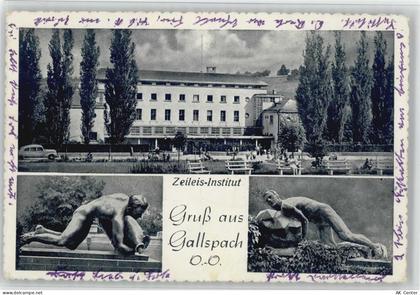 4713 Gallspach - Institut Zeileis - 10038396