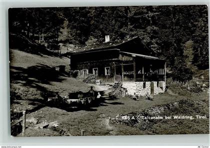 6384 Waidring - Talsenalm - 10059201