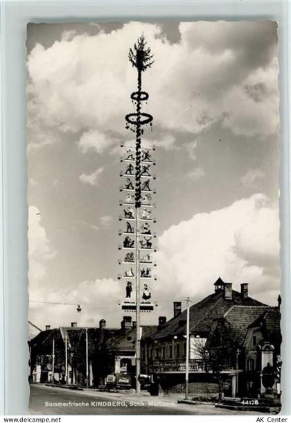 8650 Kindberg - Maibaum - 10059484