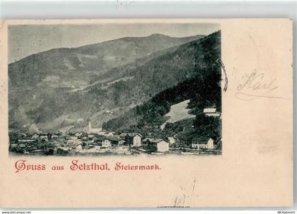 8900 Selzthal - 52136787