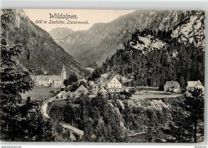 8924 Wildalpen - 52136748