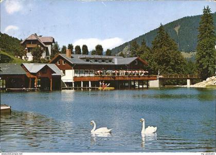 Lunz See Niederoesterreich Grubmayrs Seeterrasse am Lunzersee