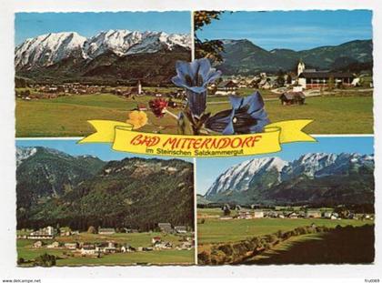 AK 024501 AUSTRIA - Bad Mitterndorf