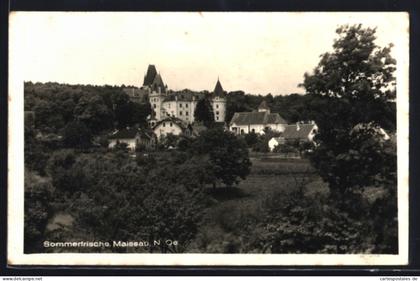 AK Maissau /N.-Ö., Blick zum Schloss