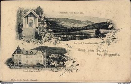 CPA Schlagl in Niederösterreich, Panorama vom Hotel Westermaier aus, Rax und Schneeberggebiet