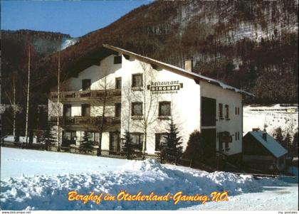 Gaming Hotel Restaurant Berghof oetscherland