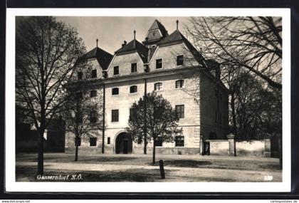 AK Gänserndorf /N.Ö., Schlossfront mit Bäumen