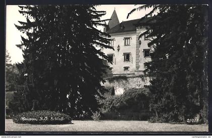 AK Maissau /N.-Ö., Schloss mit Anlagen