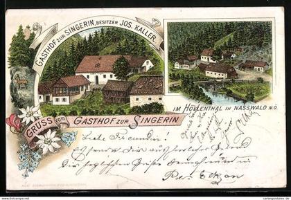 Lithographie Nasswald /Höllenthal, Gasthof zur Singerin v. Jos. Kaller