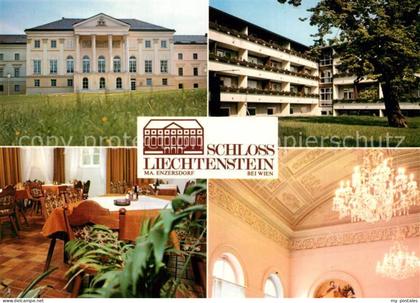 Maria Enzersdorf Schloss Liechtenstein