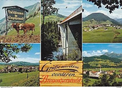 AK 191532 AUSTRIA - Vorderer Bregenzerwald
