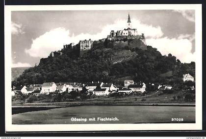 AK Güssing, Gesamtansicht mit Fischteich