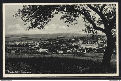 AK Pinkafeld /Steiermark, Teilansicht mit Baum