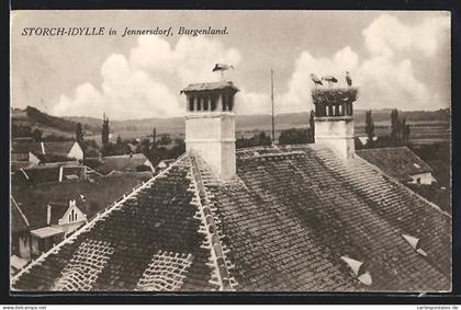 AK Jennersdorf, Storch-Idylle
