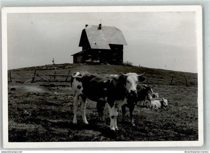 39153104 - Wolfsberg