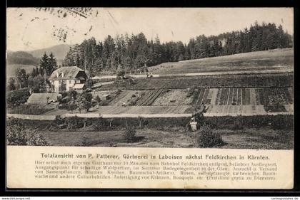 AK Feldkirchen in Kärnten, Laboisen, Totalansicht der Gärtnerei von P. Patterer