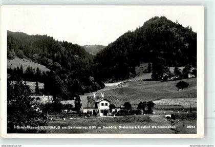 52043478 - Steinhaus am Semmering