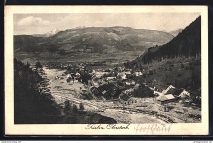 AK Trieben /Oberstmk., Talansicht mit Ort und Gebirgspanorama