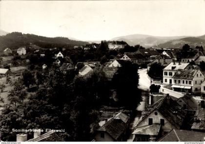 CPA Eibiswald Steiermark, Sommerfrische Landschaft, Häuser, Bäume, Berge