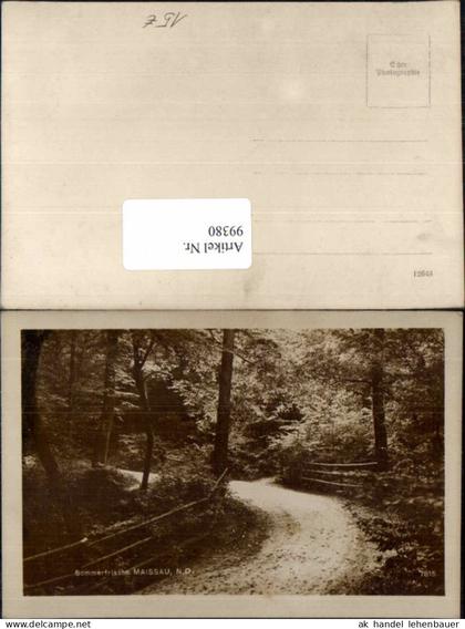 99380,Sommerfrische Maissau Partie im wald 1930