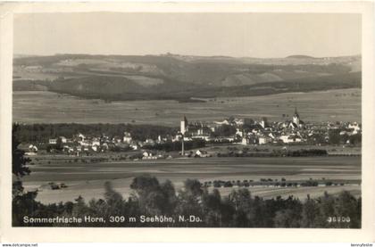 Horn N-Do