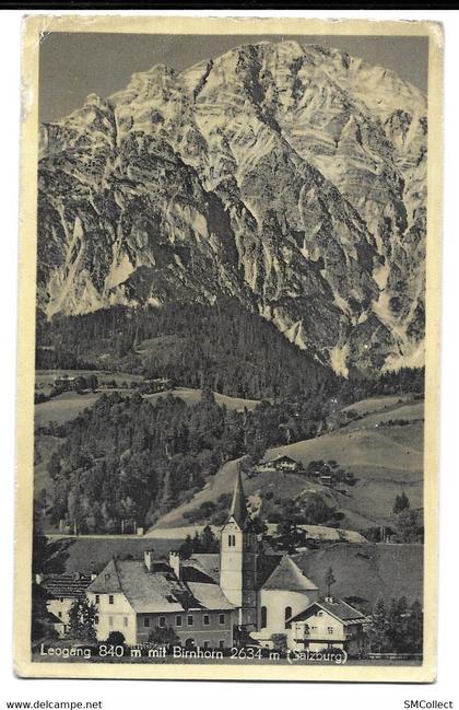 Leogang mit Birnhorn (11393)