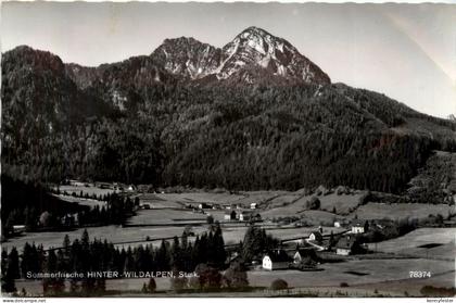 Sommerfrische Hinter-Wildalpen