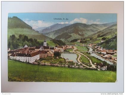 AK / Bildpostkarte Lilienfeld N.-Oe. Türnitzer Häger 1373m. Panorama Verlag A. Jelenz Berndorf