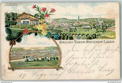 13479607 - Bruck an der Leitha