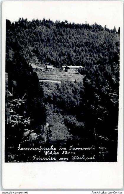 51641157 - Feistritz am Wechsel