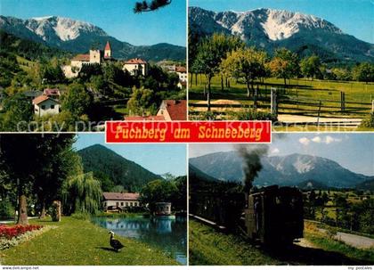 Puchberg Schneeberg Burg Eisenbahn Schneeberg
