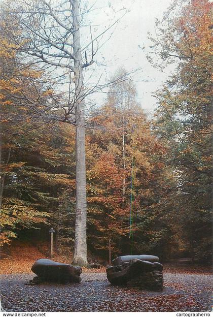 A5657 Belgium Tervueren het park autumn colours