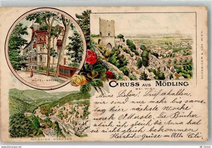 2340 Mödling Lithographie Hotel Hayjek - 13647634