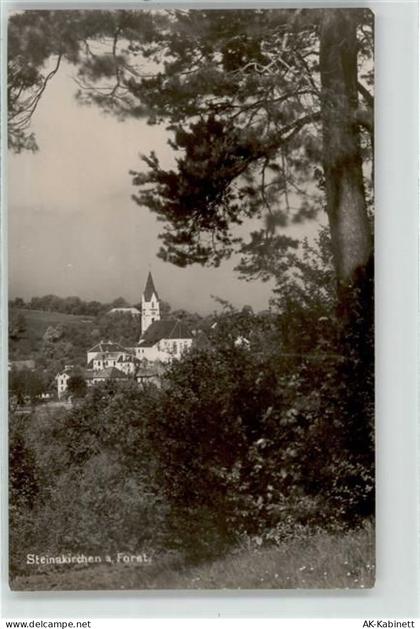 3261 Steinakirchen am Forst - 52042310