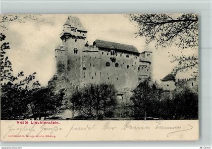 2340 Maria Enzersdorf - Veste Liechtenstein - 10103469