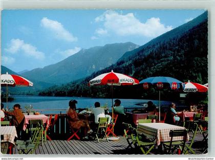 40161544 - Lunz am See